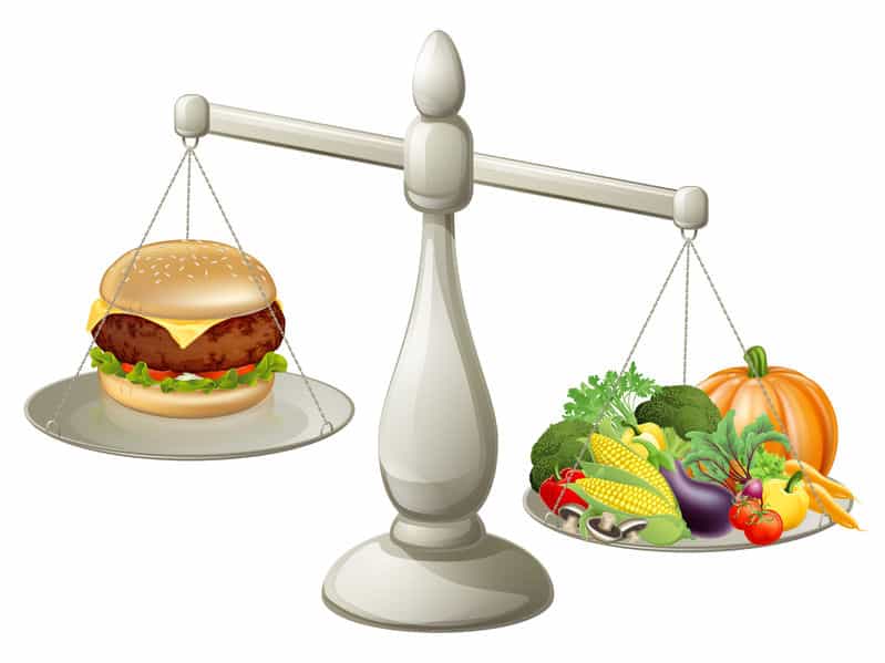 Весы Для Правильного Питания Цены