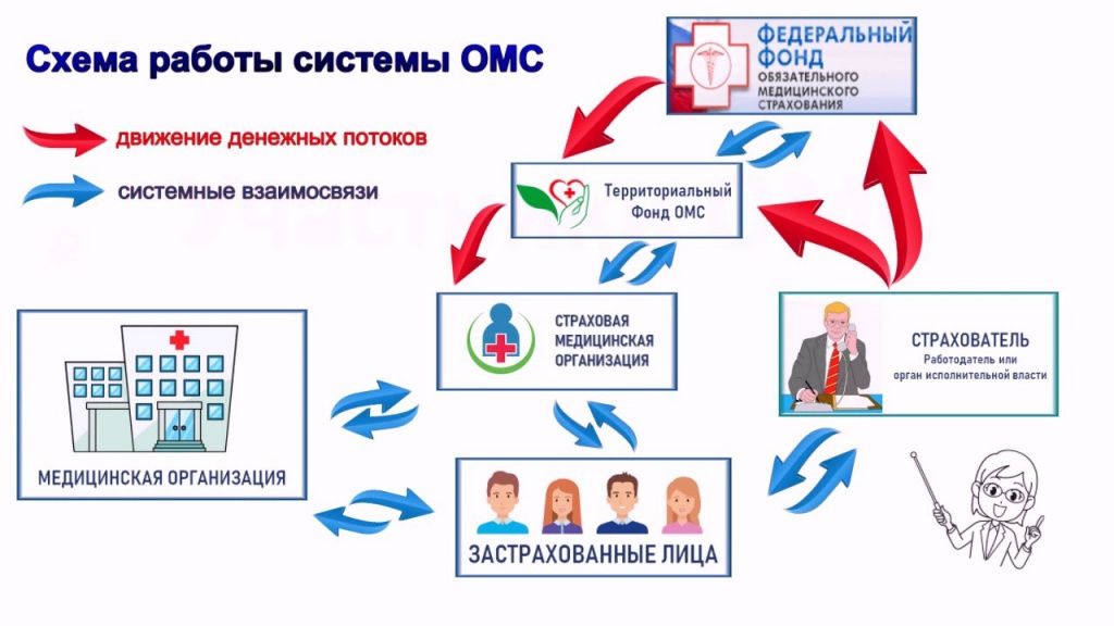 Схема организации и финансирования омс